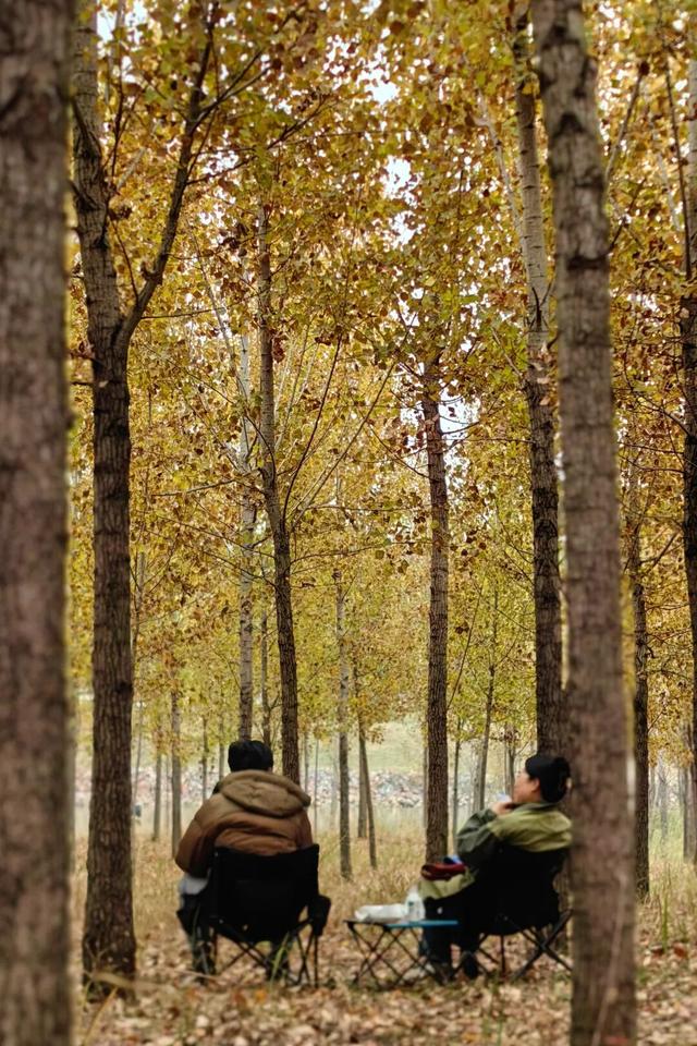 龙亭区柳园口乡 · 开封“呼伦贝尔”的秋之请柬！