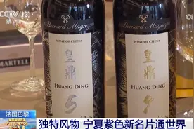 从“叫好不叫座”到远销法国巴黎 宁夏葡萄酒何以惊艳世界图片