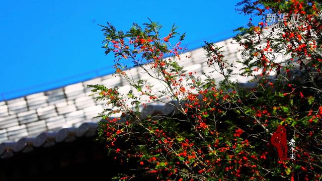 千城百县看中国｜福建寿宁：微寒暖阳时