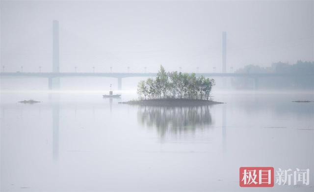 晨雾拥湿地，丹江口沧浪洲湿地公园上演“仙境大片”