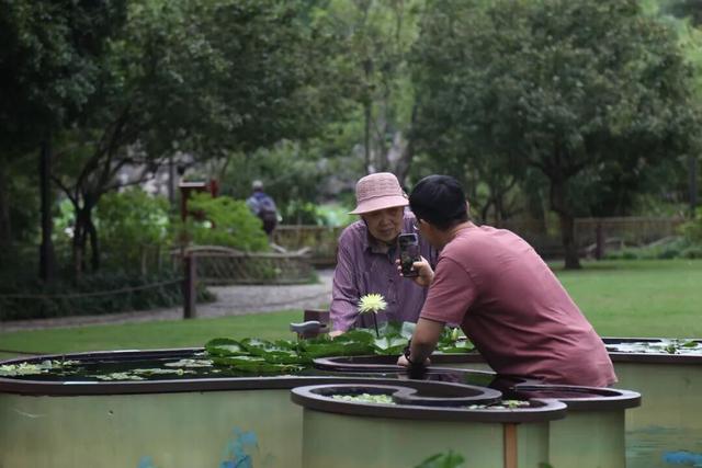 旅游节期间，嘉定这些景点半价，还不快冲？