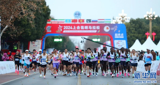 从远方而来，在暖阳里奔跑