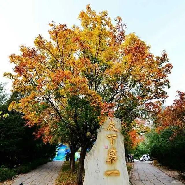 人少景美！北京这些古刹红叶正在最佳观赏期！