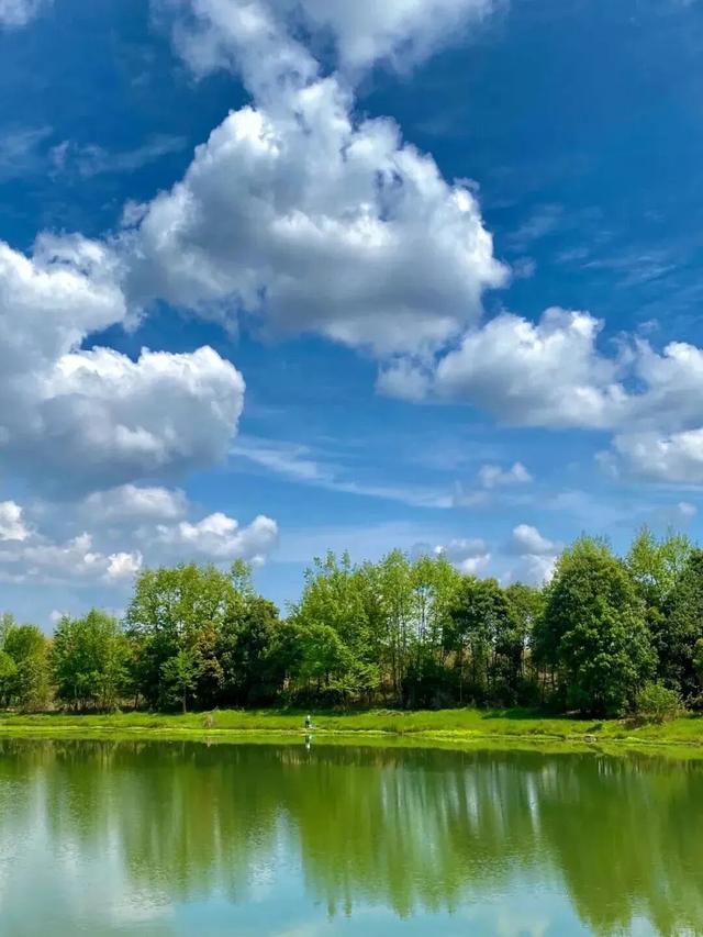 新津人速藏！冬日公园晒太阳的神仙去处