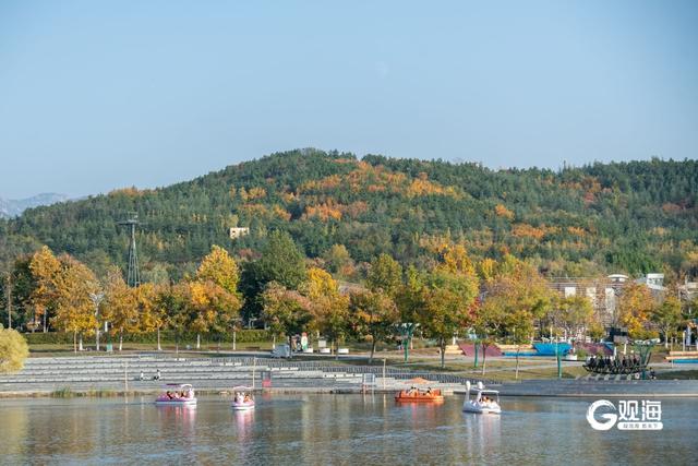 “秋日限定”上线！世博园赏秋正当时
