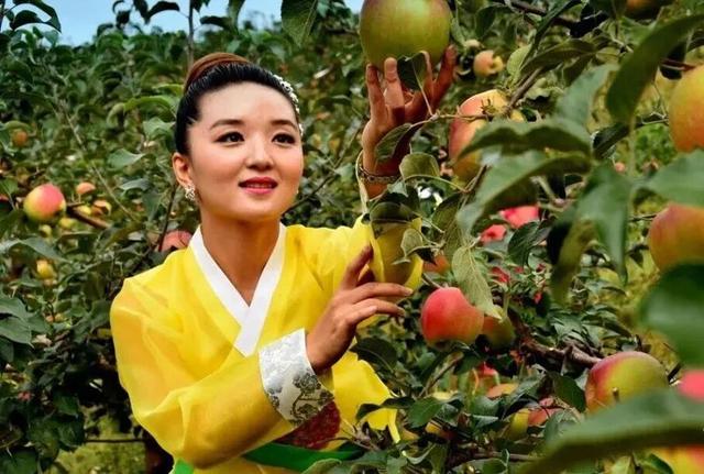 不来珲春，怎知秋色如许？（惊艳美图来袭）