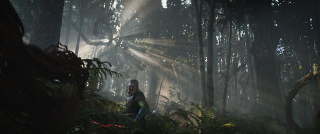 即便对《狩猎》大失所望，仍不妨给《杀戮之地》一个机会