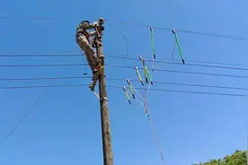 逆风抢修2小时！谷城石花镇供电所为村民点亮“光明灯”图片