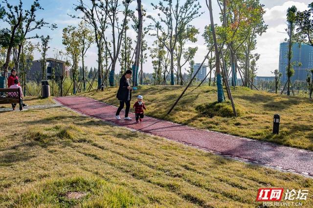 岁暖时刻丨在安乡昌颐健康公园，把生活调成慢档