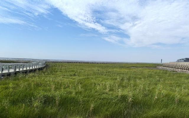 16+6，“走进申海”带你逛遍魔都海岸线