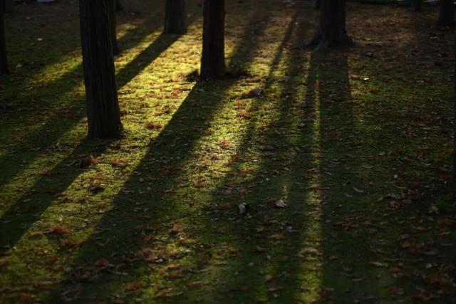 美翻了！邢台达活泉初冬限定“色彩盛宴”