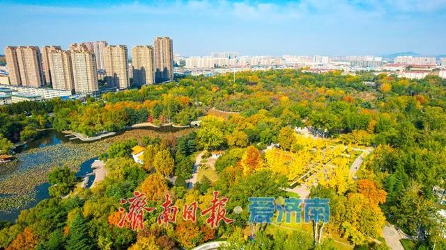 莱芜红石公园秋意浓 红石秋叶绘就多彩画卷