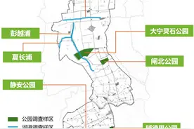 拍到啦！这些“小可爱”，出没于静安这些公园→图片