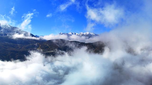 四川茂县层林尽染迎“盛会” 九鼎山开启“金色童话”观赏季