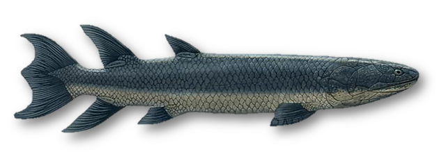 这个小盒子里的化石材料，产生了非常多举世瞩目的成果，有十几篇顶刊文章｜卢静 一席少年第36位讲者