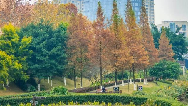 大足老城等你来命名！