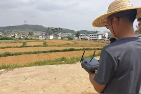 万山鱼塘乡：“科技范”十足！鱼塘乡无人机“飞防”解锁丰收密码图片