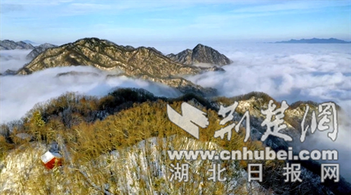 湖北偏头山国家森林公园雪后盛景：云海铺底 金顶耀光