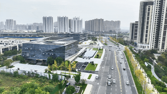 葛店这条“黄金大道”再不看就晚了！