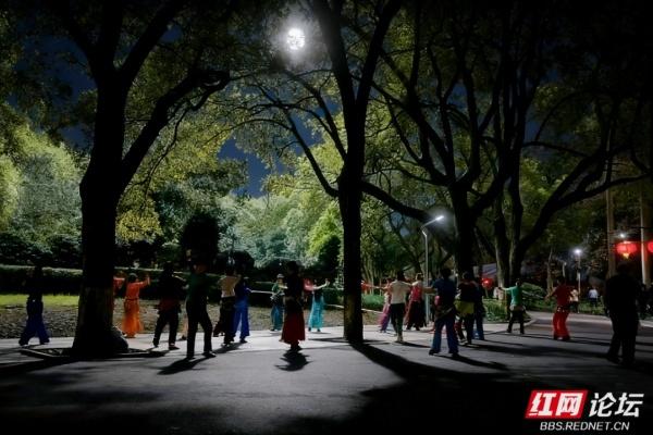长沙秋日三景：桥、舞、柚里藏尽秋日治愈感