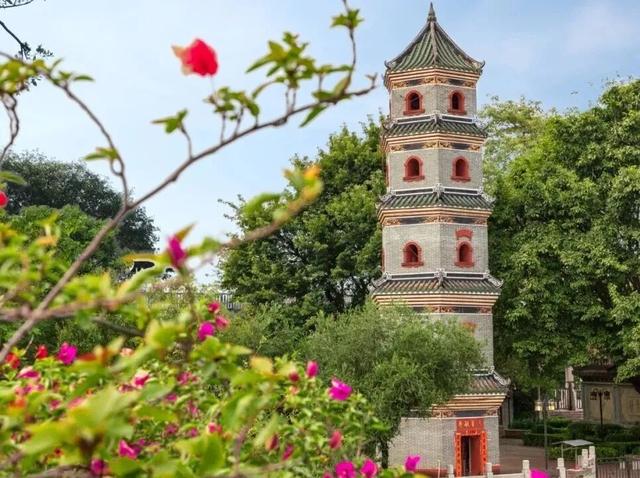 萌物来袭，“喜洋洋”和“乐融融”玩转望牛墩！