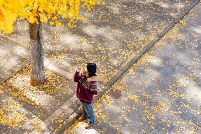 限时绝美！年度顶流！