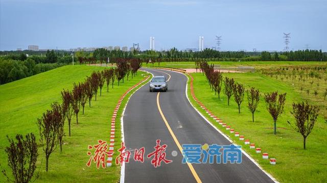 一年四季 泉在济南丨济南槐荫区玉符河生态公路：仿若驰骋草原的城市风景线