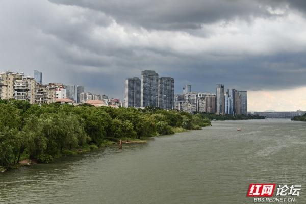 漫步湘江景：城市景观的明暗写意画