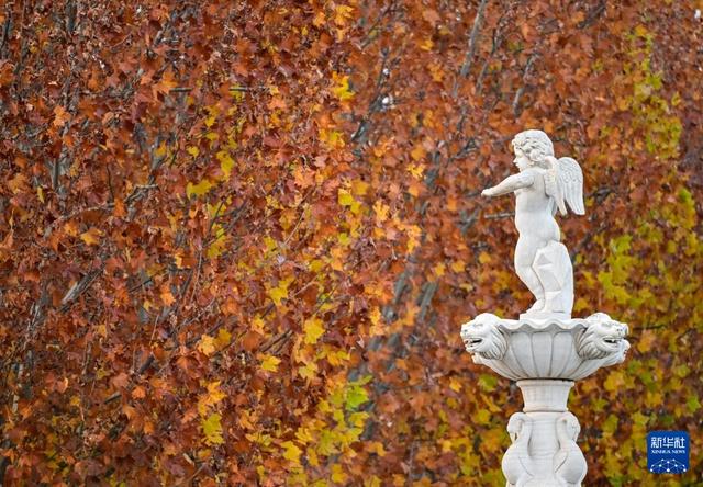 初冬园博园，周末好时光