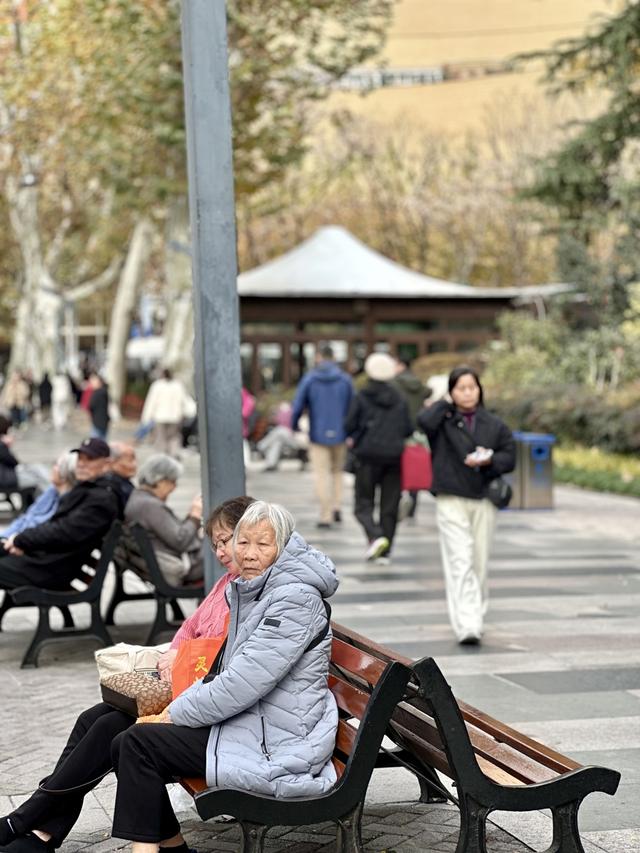 静安公园周五起闭园9个月，官方效果图抢先看！市民有啥期待？古树群怎么办？