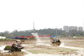 广州春耕生产现场会举行，预计早造粮食种植面积约为21.3万亩图片