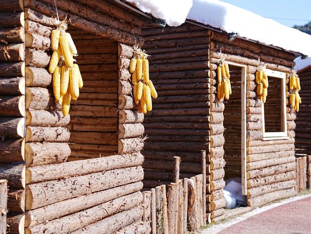 梅花山滑雪场热雪“燃冬”!