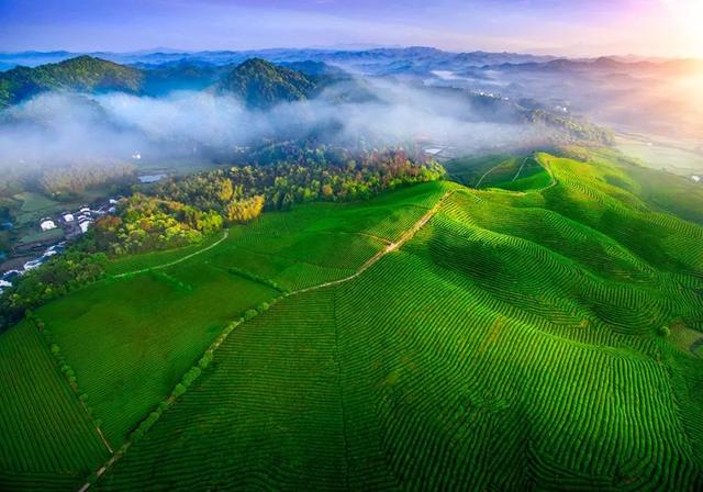 2.5h缩短至1h车程！趁高速通车来这两座宝藏小城，品品茶香和诗意……