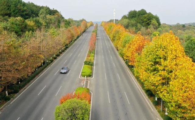 这含“金”量，不摆啦！贵阳的秋天，谁懂？