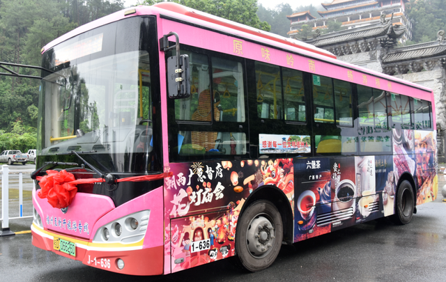 全国15个典型案例！广西首条跨省公交旅游专线入选