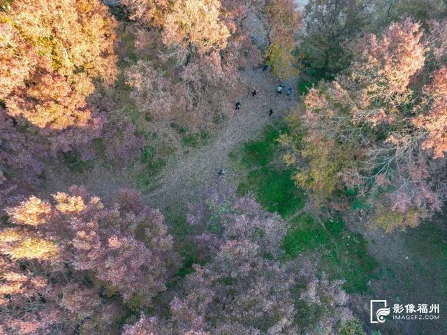 “枫”情万种！福州这里美不胜收！