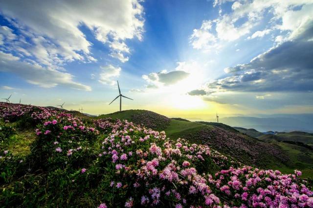 【胜境盘州·开放新程】乌蒙大草原四季有惊喜