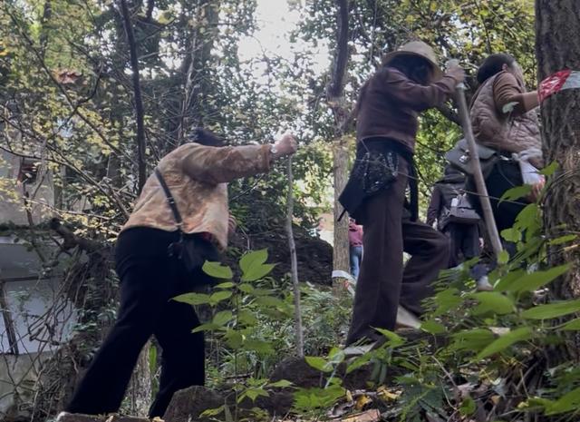 党报调查 | “网红山”层出不穷背后：停车困难、垃圾遍地……