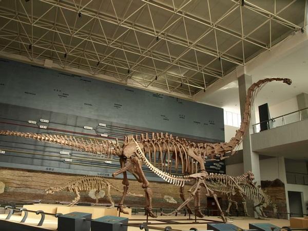 辽宁朝阳研学产品沪上推介，红山文脉牵起南北文旅之约