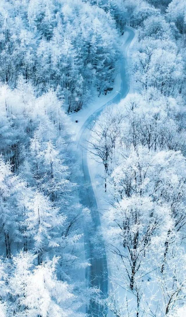 年假清零，总要留几天给洛阳