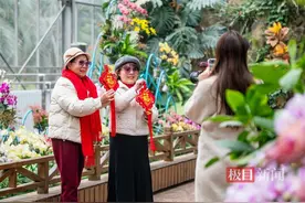 游花海，赏花灯，亲近动物……热闹！春节假期武汉三大园区游客量超45万人次图片