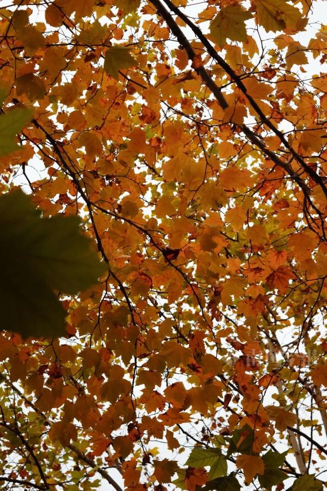 柳州，彩色刷屏！大反转也要来了！