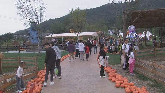 【蓟韵金秋】潮玩谷景区：大山里畅享欢乐假日