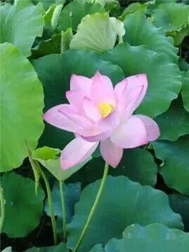 福鼎这里藏着一座“四季画廊”……