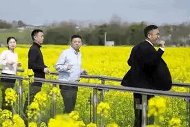 摆臂～勾拳～顺拐～ 这段油菜花田里的“魔性尬舞”出圈了！图片