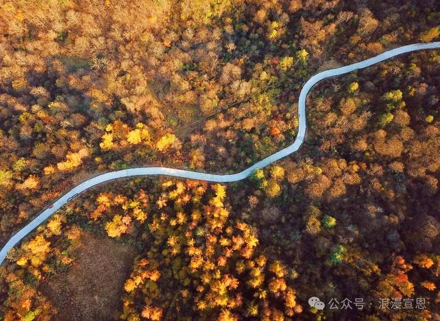 宣恩入选知音湖北“17遇金秋十大目的地”！