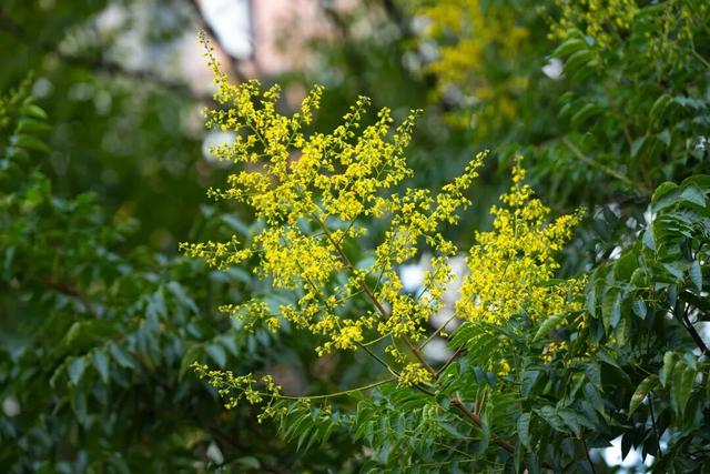 快抬头！秋日限定“天花板”上线啦