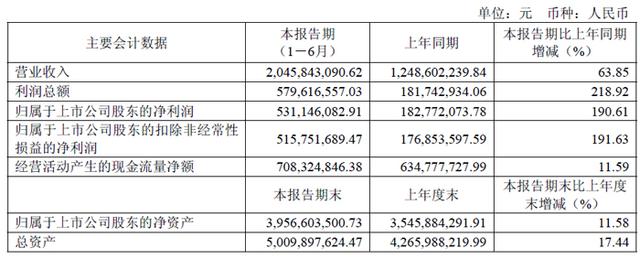 深天马、维信诺、创维数字、汇顶科技、全志科技等19家面板与显示芯片企业2025上半年财报一览