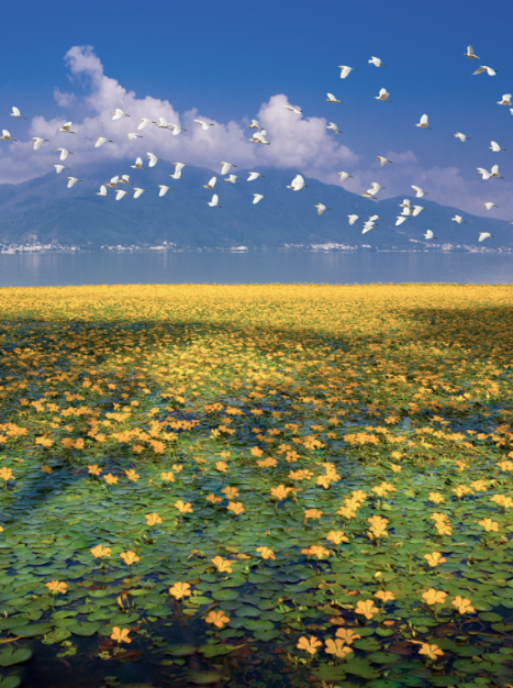 冬日游凉山 与暖阳撞个满怀