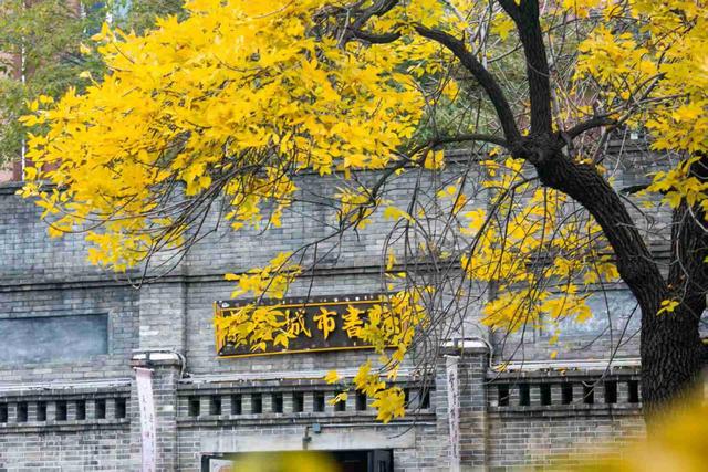 京城拍客今日精选｜缤纷秋色染层林 京城赏秋正当时